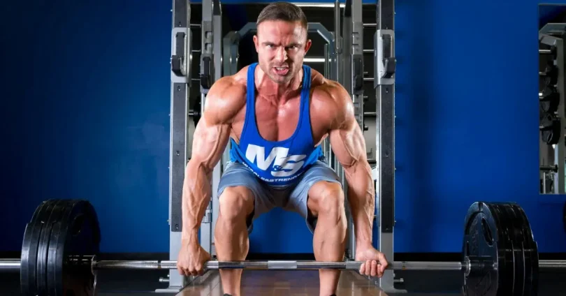 Full Body Workout Routine